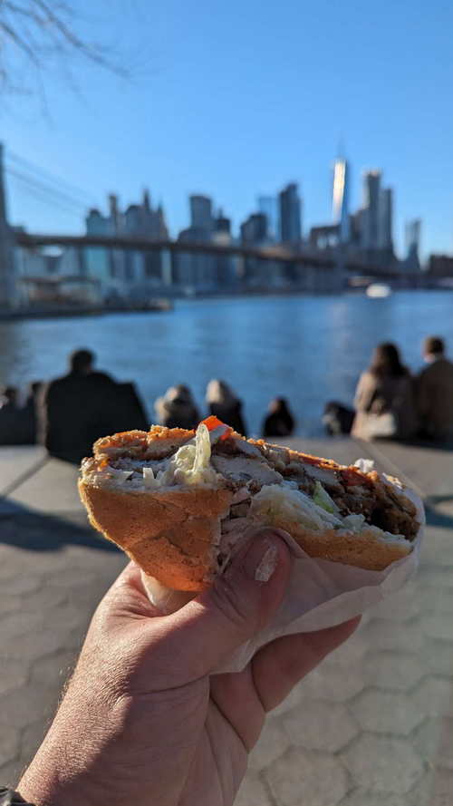 NYC_2024-02-03 15-48-07_PXL_20240203_204807524
